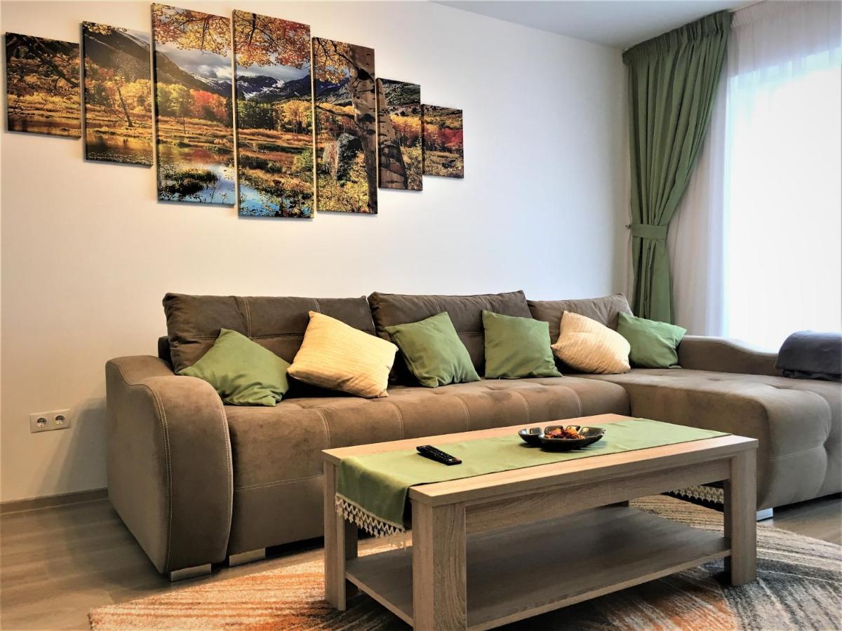 Mountain View Escape Apartman Brassó Kültér fotó