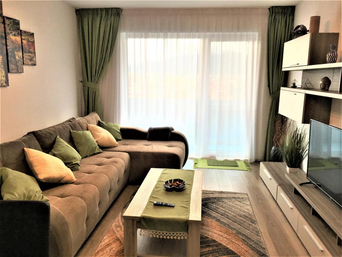 Mountain View Escape Apartman Brassó Kültér fotó
