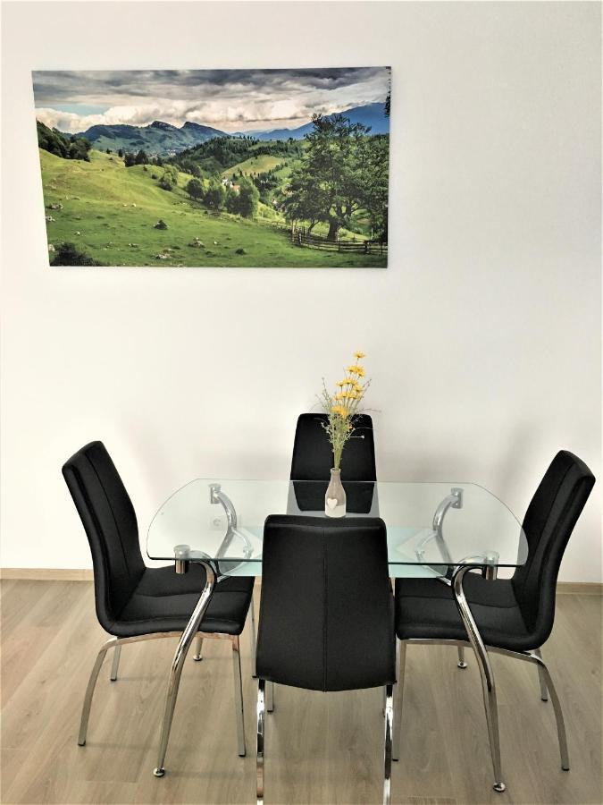 Mountain View Escape Apartman Brassó Kültér fotó